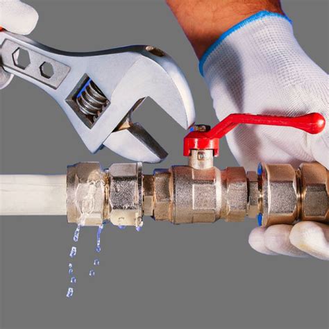 plumbing port coquitlam